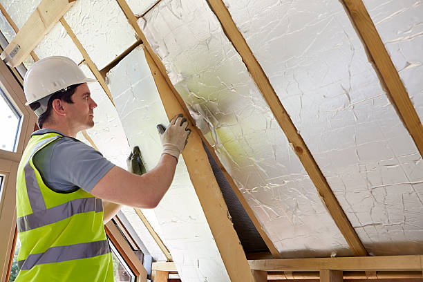 Best Eco-Friendly Insulation in Berkeley Lake, GA